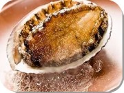 あわび踊り焼き付プラン 