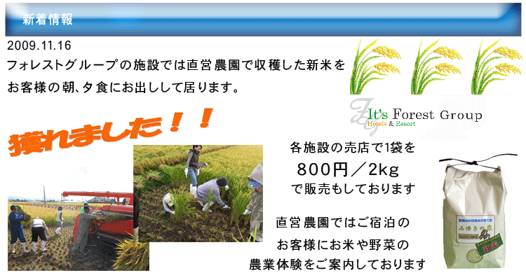 新着情報